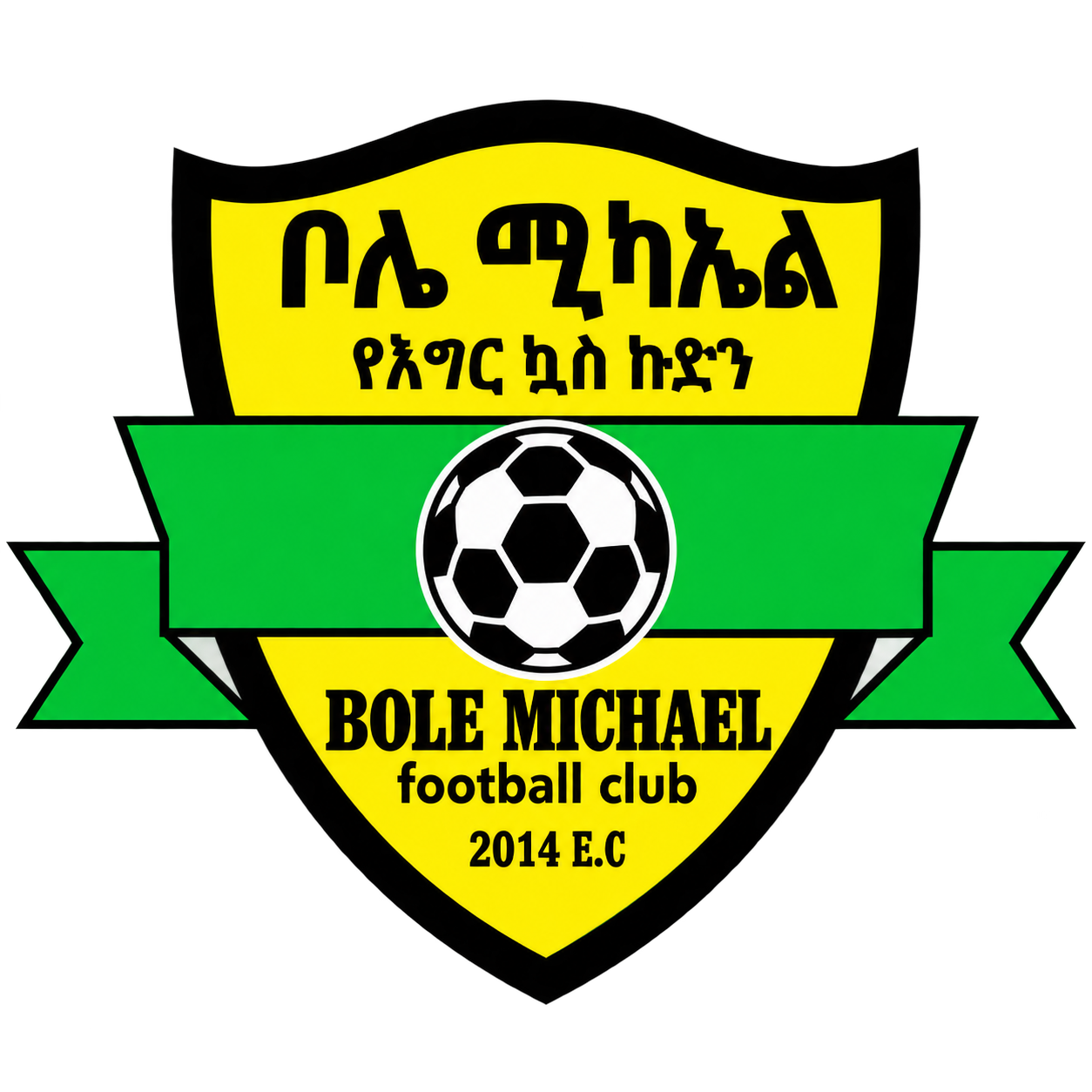 Bole Michael Football Academy logo